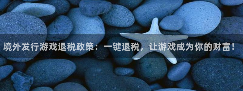 bg大游官网登录注册账号是什么：境外发行游戏退税政策：一键退税，让游戏成为你的财富！
