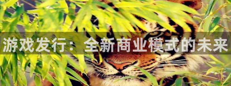 bg大游官网代理开号多少钱：游戏发行：全新商业模式的未来