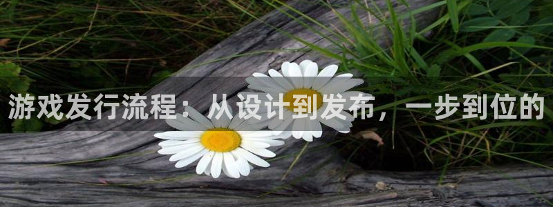 bg大游官网解绑银行卡