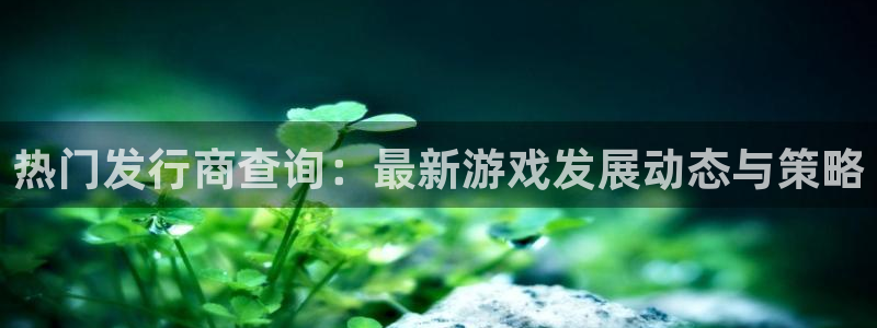 bg大游香烟图片：热门发行商查询：最新游戏发展动态与策略