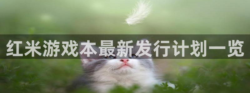 bg大游官网登录注册账号安全吗安全吗：红米游戏本最新发行计划一览
