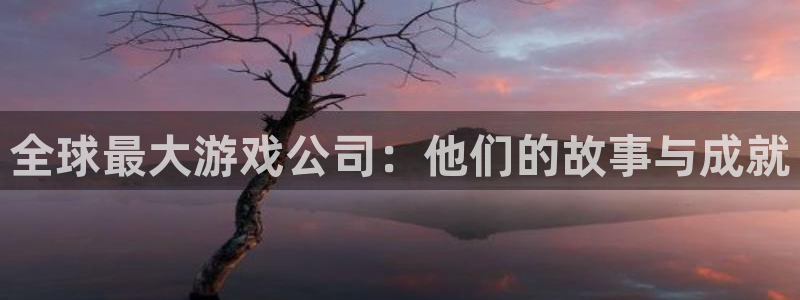bg大游怪兽：全球最大游戏公司：他们的故事与成就