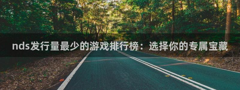 bg大游官网怎么注册账号：nds发行量最少的游戏排行榜：选择你的专属宝藏