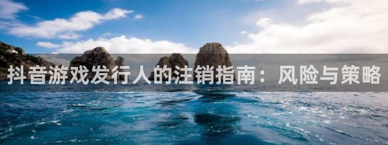 bg大游子出版社