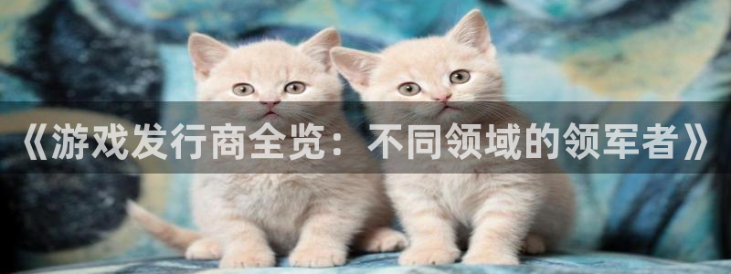bg大游官网官网注册账号密码：《游戏发行商全览：不同领域的领军者》