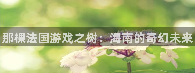 bg大游官网游戏平台介绍：那棵法国游戏之树：海南的奇幻未来