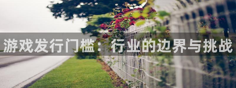 bg大游子招聘：游戏发行门槛：行业的边界与挑战