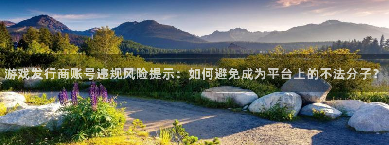 bg大游运动装有哪些品牌：游戏发行商账号违规风险提示：如何避免成为平台上的不法分子？