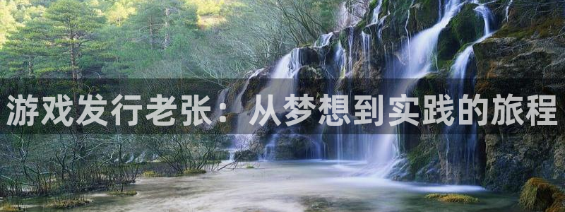 bg大游酒庄：游戏发行老张：从梦想到实践的旅程