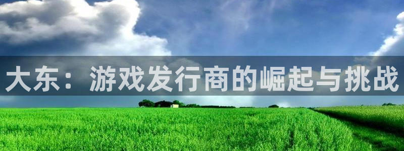bg大游平台登录入口官网：大东：游戏发行商的崛起与挑战