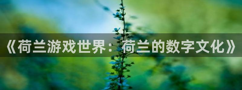 bg大游仓储中心：《荷兰游戏世界：荷兰的数字文化》