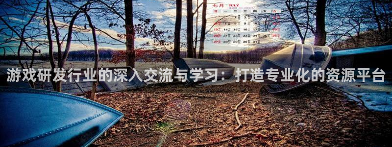 bg大游多少钱