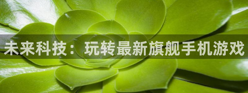 广东bg大游电子商务有限公司电话：未来科技：玩转最新旗舰手机游戏