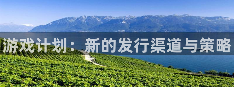 bg大游集团是什么企业