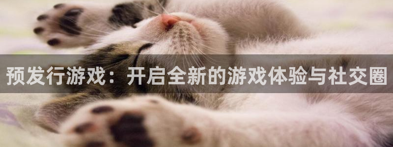 bg大游子文化创意做什么的