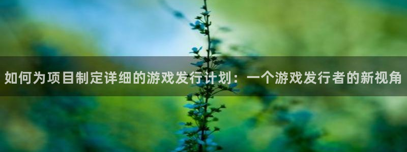 bg大游官网注册平台是什么软件：如何为项目制定详细的游戏发行计划：一个游戏发行者的新视角
