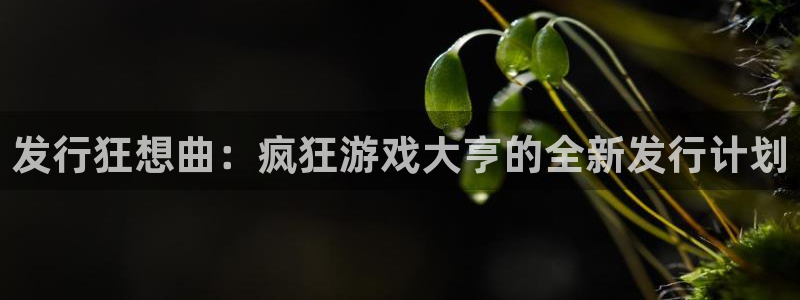 bg大游官网下载分分彩