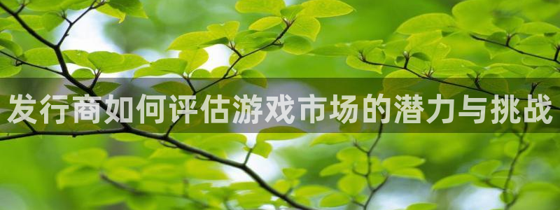 广州bg大游网络科技有限公司怎么样：发行商如何评估游戏市场的潜力与挑战