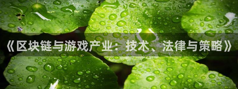 bg大游品牌