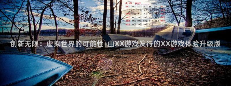 bg大游子代表什么意思：创新无限：虚拟世界的可能性-由XX游戏发行的XX游戏体验升级版