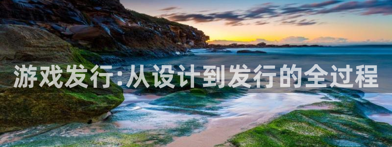 bg大游官网登录注册账号是什么样的：游戏发行:从设计到发行的全过程