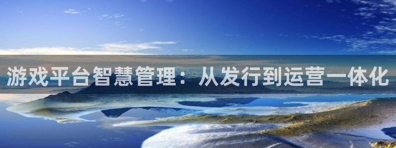 bg大游子集团：游戏平台智慧管理：从发行到运营一体化